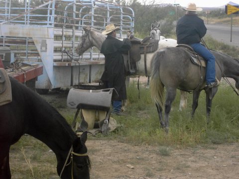 Rough Rider Patrols 2