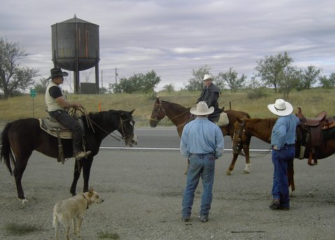 Rough Rider Patrols 3